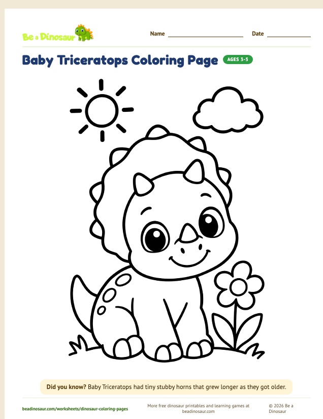 Baby Triceratops coloring page (free printable from Be a Dinosaur)