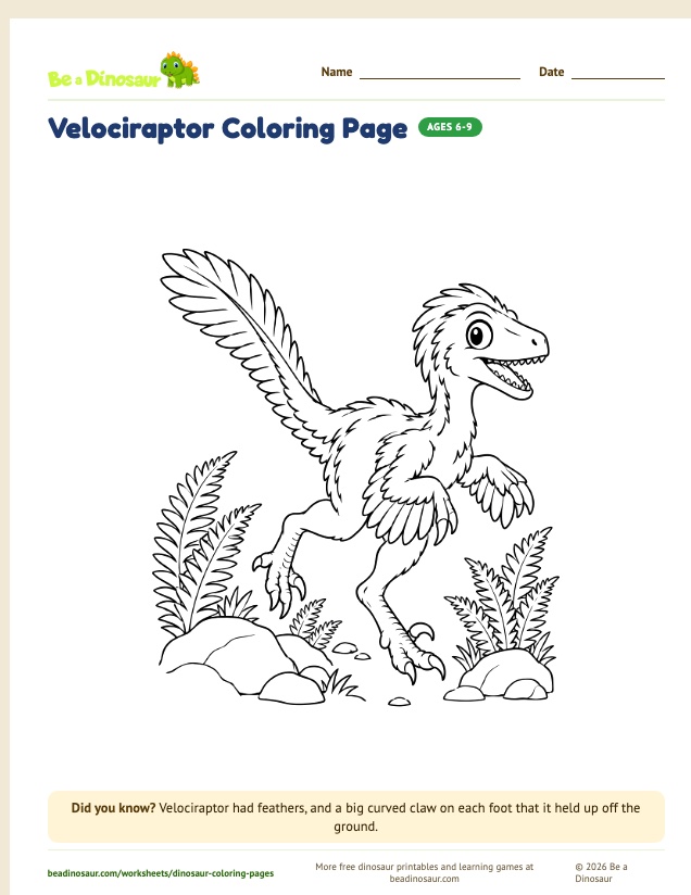 Velociraptor coloring page (free printable from Be a Dinosaur)