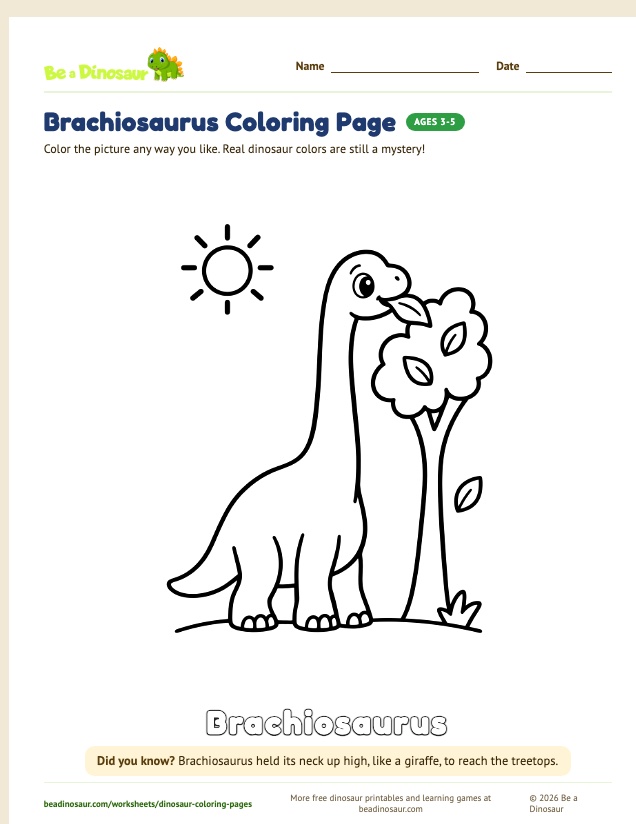 Brachiosaurus coloring page (free printable from Be a Dinosaur)