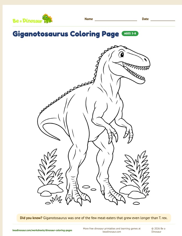 Giganotosaurus coloring page (free printable from Be a Dinosaur)
