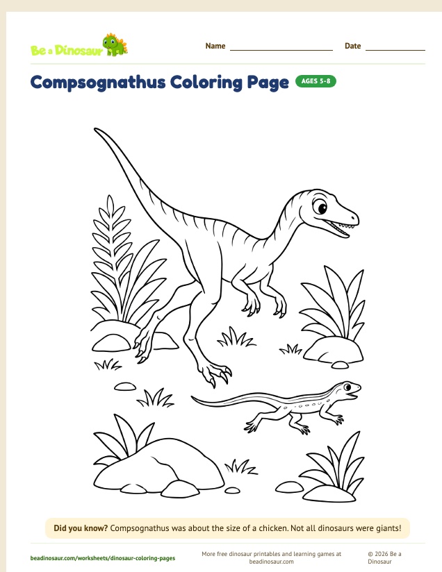 Compsognathus coloring page (free printable from Be a Dinosaur)