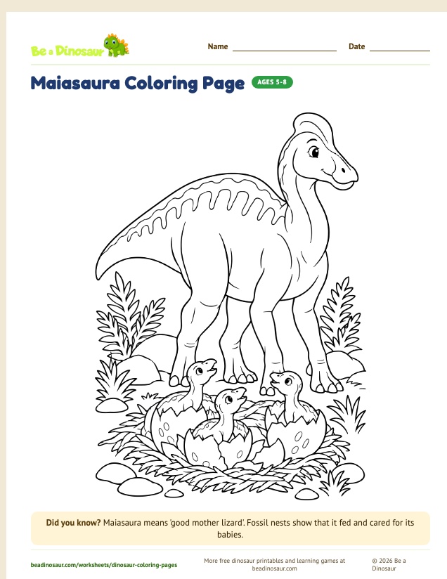 Maiasaura coloring page (free printable from Be a Dinosaur)
