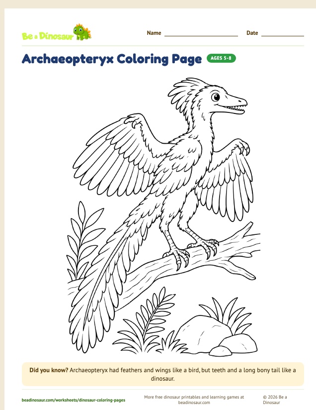 Archaeopteryx coloring page (free printable from Be a Dinosaur)