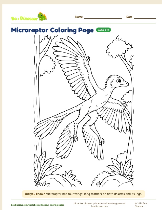 Microraptor coloring page (free printable from Be a Dinosaur)