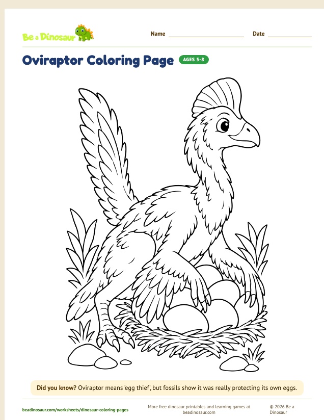 Oviraptor coloring page (free printable from Be a Dinosaur)