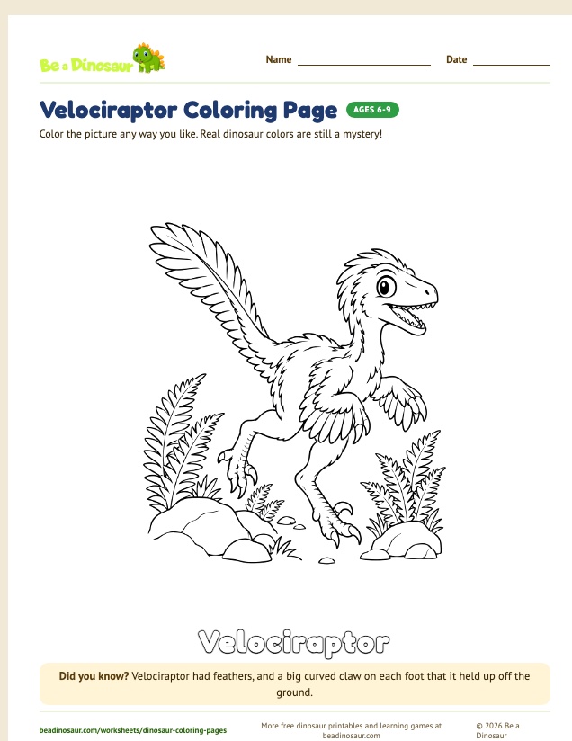 Velociraptor coloring page (free printable from Be a Dinosaur)